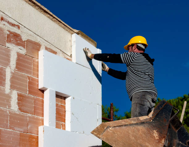 Best Insulation Maintenance and Repair in Shepherd, MI